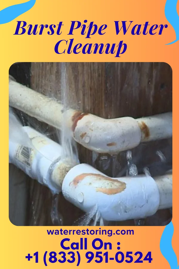 Burst Pipe Water Cleanup in Annapolis Neck, MD
