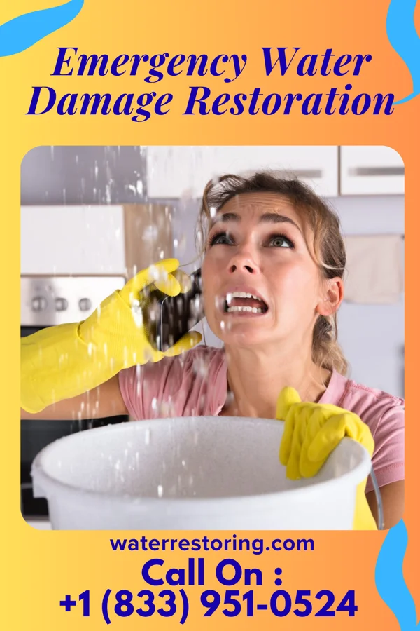Emergency Water Damage Restoration in Annapolis Neck, MD