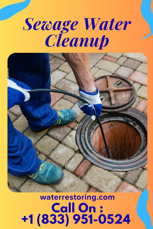Sewage Water Cleanup in Annapolis Neck, MD