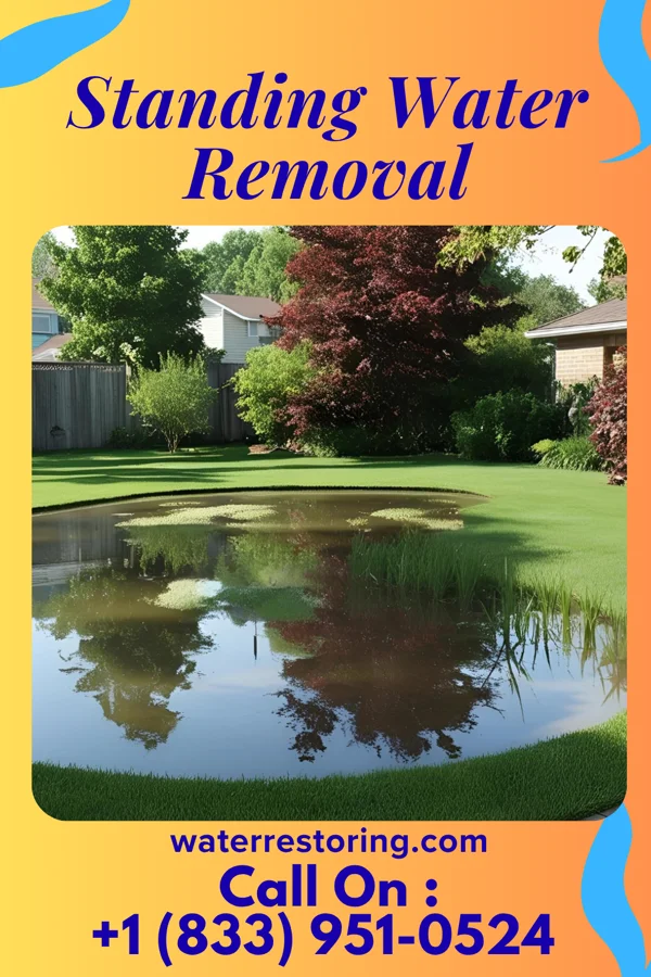 Standing Water Removal in Annapolis Neck, MD